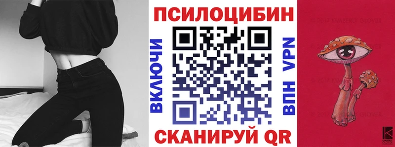 Псилоцибиновые грибы Cubensis  Купить закладки  Озёрск 